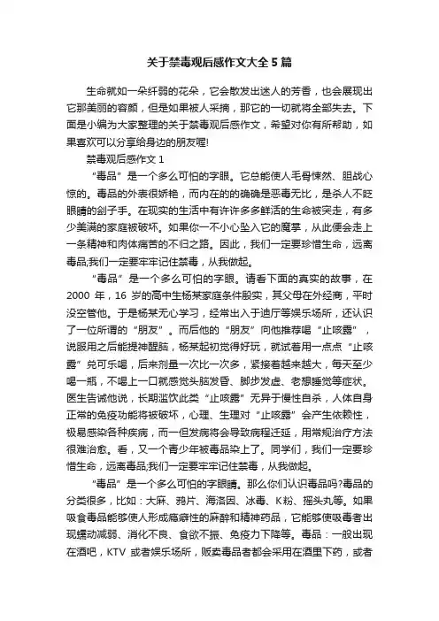 关于禁毒观后感作文大全5篇