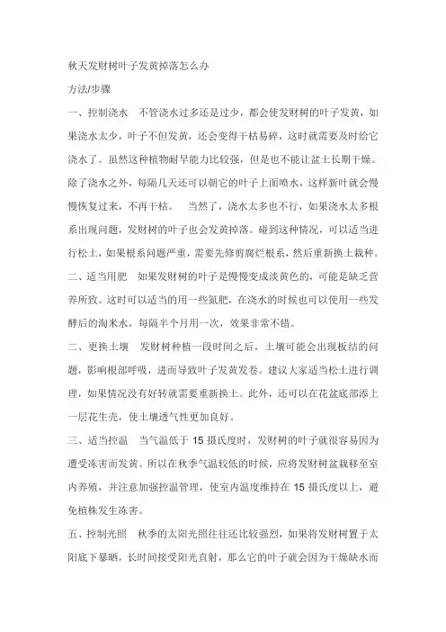 发财树秋天叶子发黄落叶怎么办