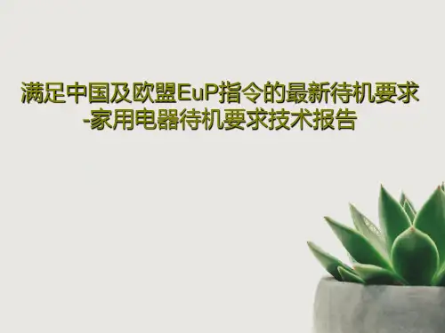 满足中国及欧盟EuP指令的最新待机要求-家用电器待机要求技术报告PPT文档21页