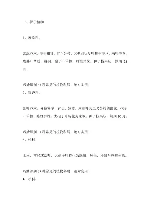 常见的植物科属