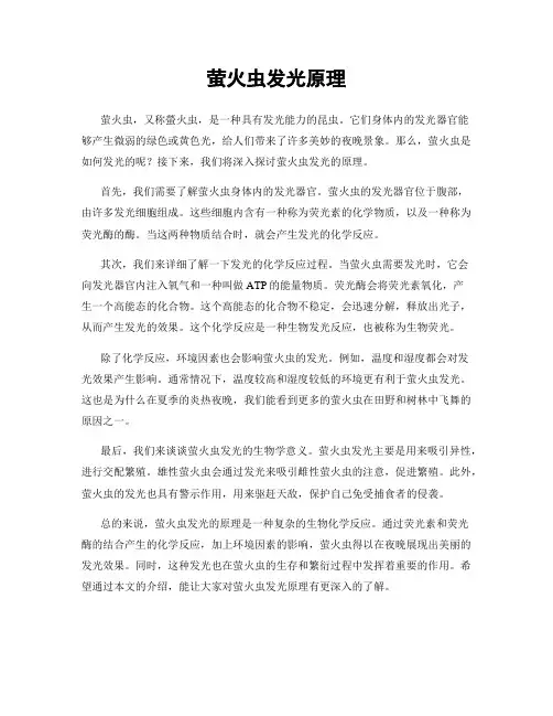 萤火虫发光原理