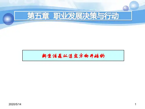 第5章：职业决策与行动概要