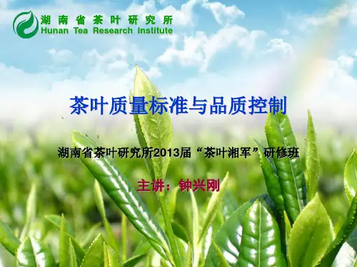 茶叶质量标准与品质控制.