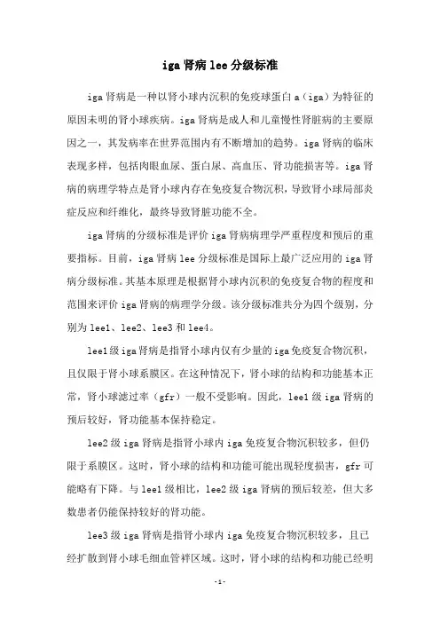 iga肾病lee分级标准