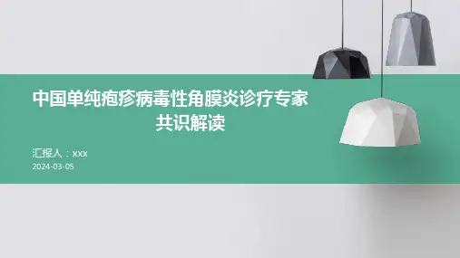 中国单纯疱疹病毒性角膜炎诊疗专家共识解读PPT课件
