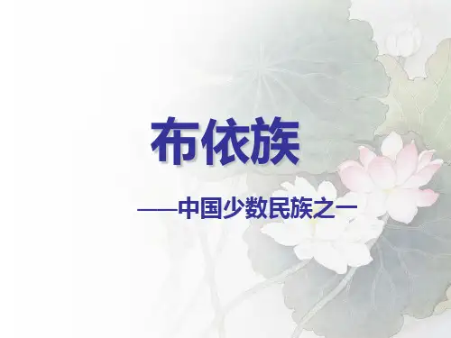 布依族介绍PPT课件