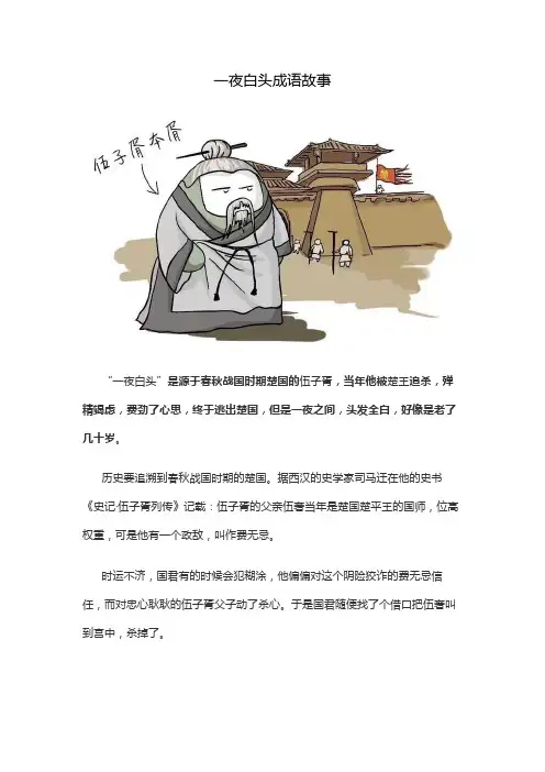 一夜白头成语故事