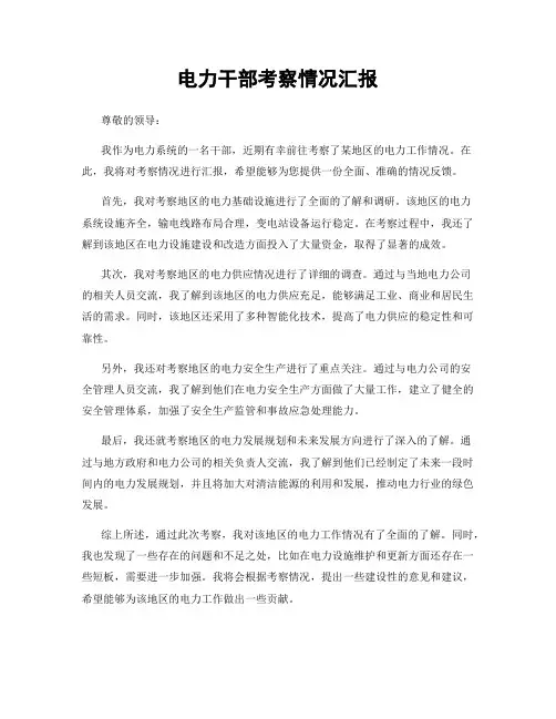 电力干部考察情况汇报