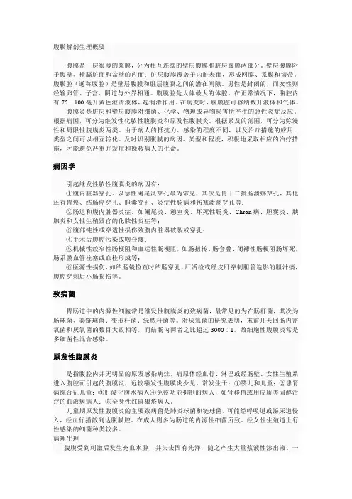 腹膜解剖