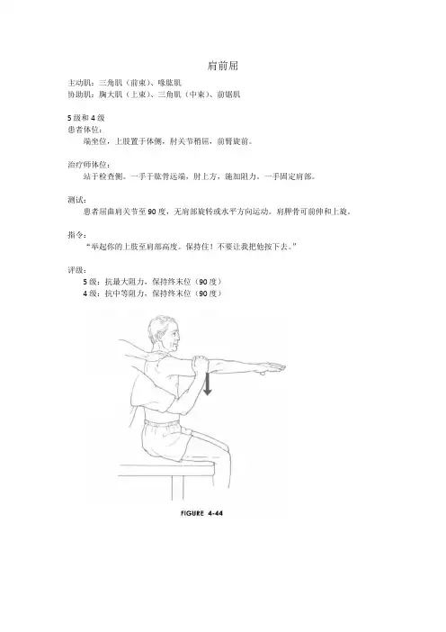 肌力评定-肩前屈-三角肌、喙肱肌