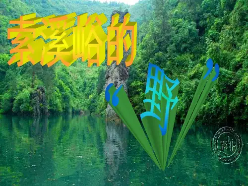 索溪峪的野PPT