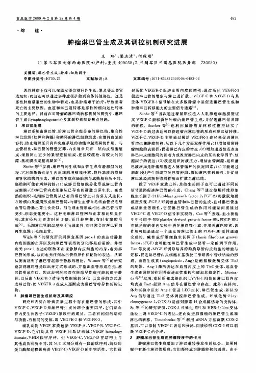 肿瘤淋巴管生成及其调控机制研究进展