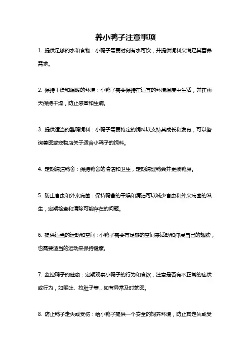 养小鸭子注意事项