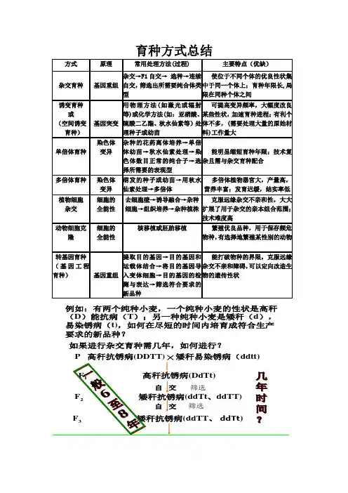 人教版生物必修2育种总结 