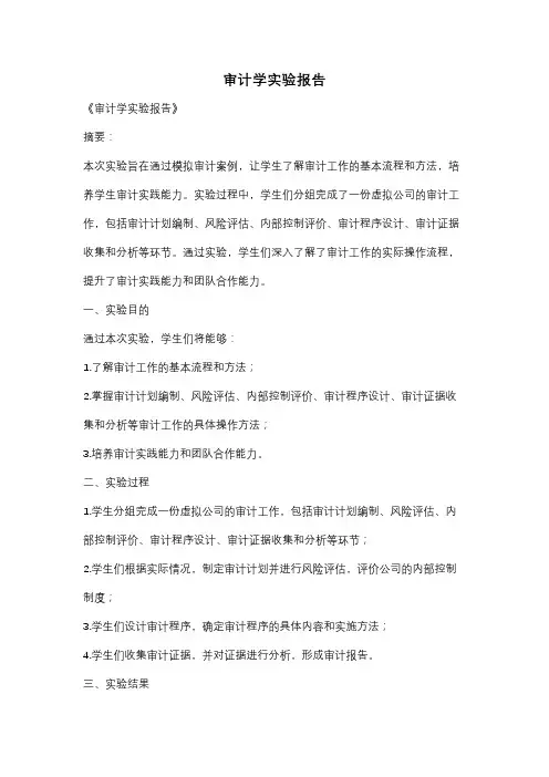 审计学实验报告