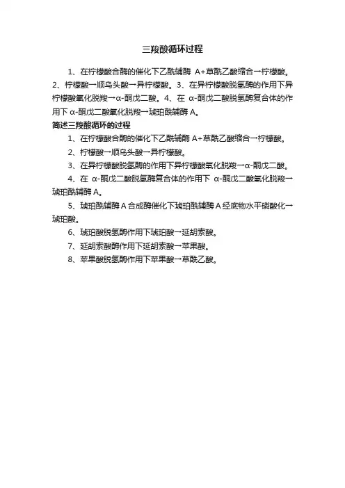 三羧酸循环过程