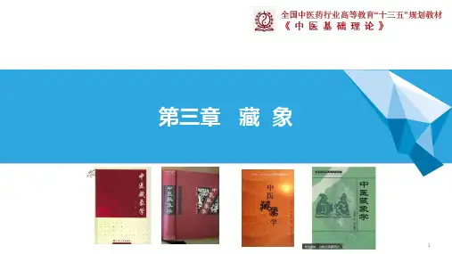 中医基础理论：10 藏象 六腑-小肠