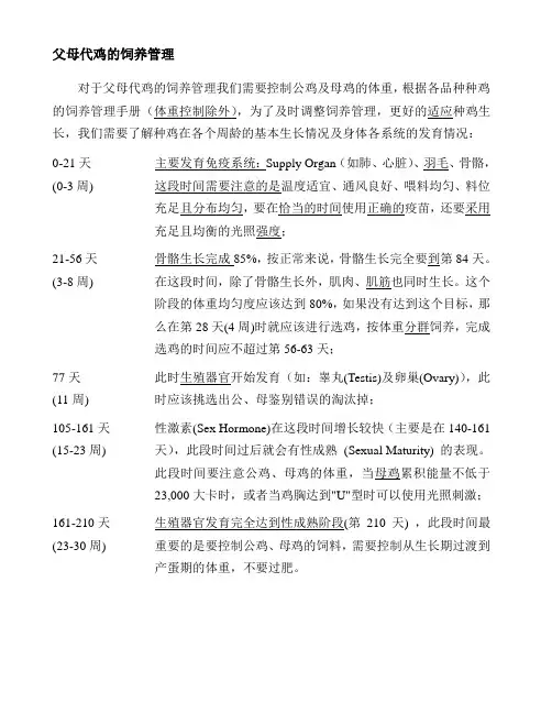 种鸡管理
