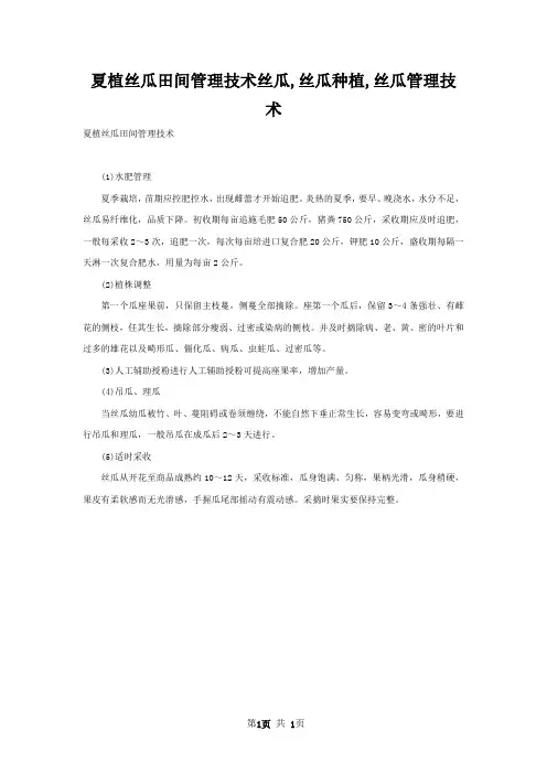 夏植丝瓜田间管理技术丝瓜,丝瓜种植,丝瓜管理技术