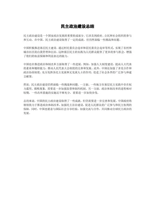 民主政治建设总结