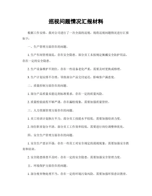 巡视问题情况汇报材料