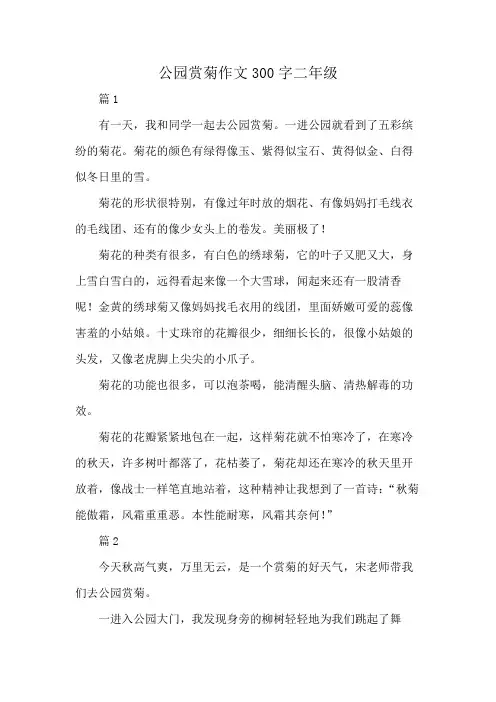 公园赏菊作文300字二年级