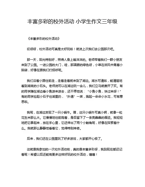 丰富多彩的校外活动 小学生作文三年级
