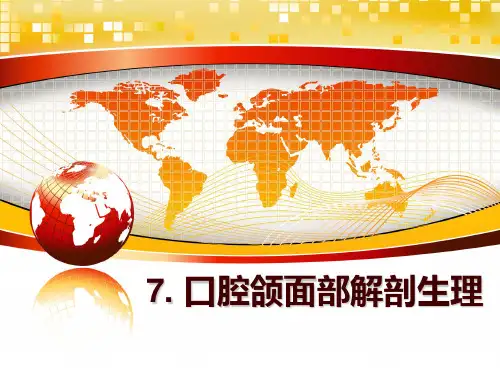 最新7. 口腔颌面部解剖生理PPT课件