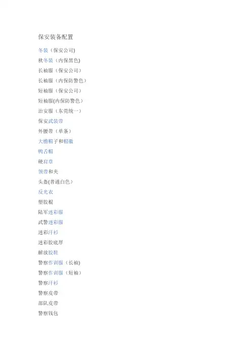 保安装备配置