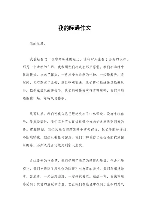 我的际遇作文
