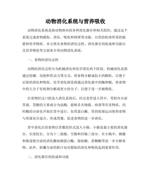 动物消化系统与营养吸收