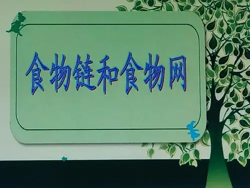 五年级上册科学课件-1.5 食物链和食物网｜教科版 (共11张PPT)