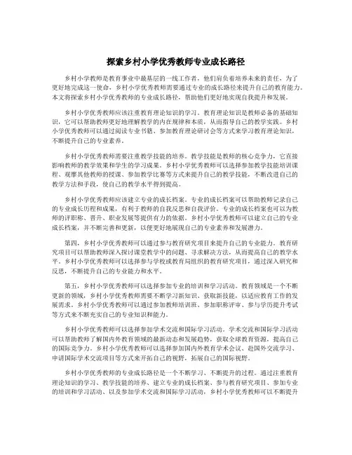 探索乡村小学优秀教师专业成长路径