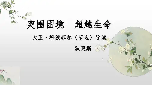 《大卫科波菲尔(节选)》ppt课件