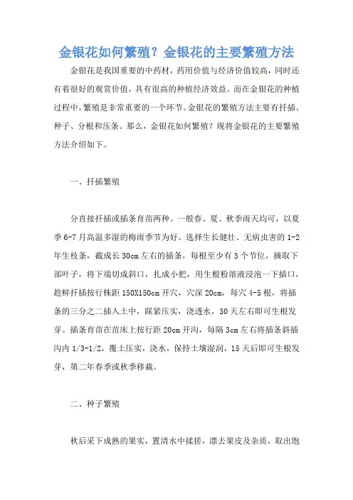 金银花如何繁殖？金银花的主要繁殖方法