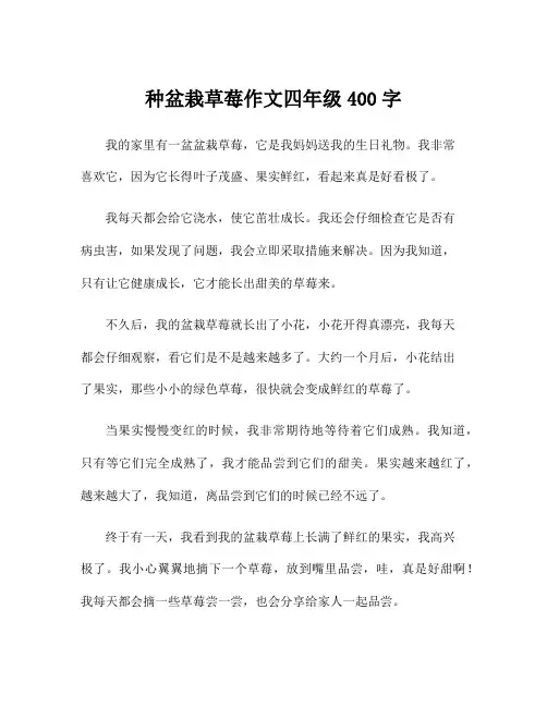 种盆栽草莓作文四年级400字