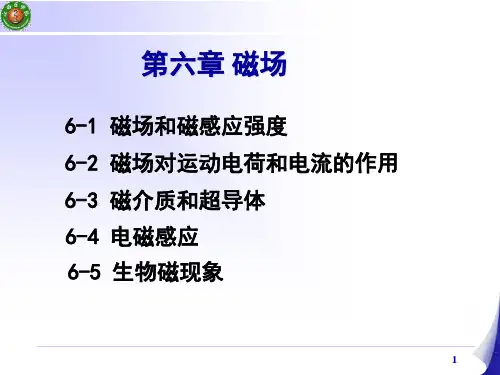 《医用物理学》教学课件 第六章磁场