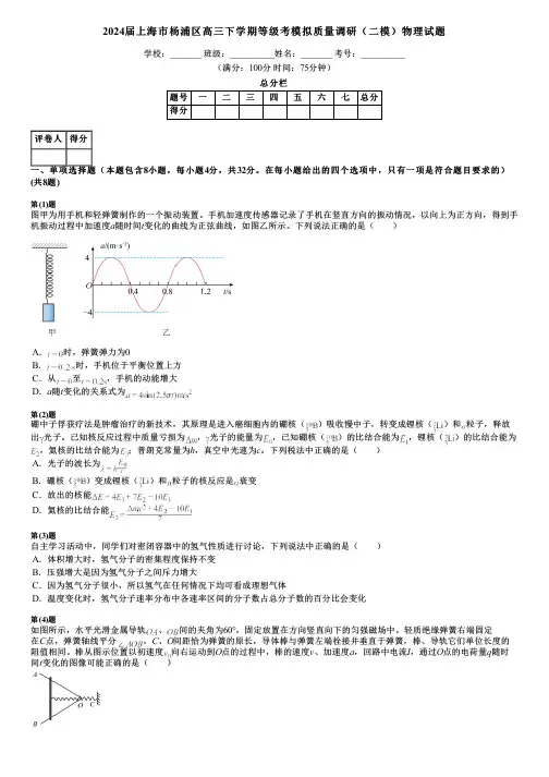 2024届上海市杨浦区高三下学期等级考模拟质量调研(二模)物理试题