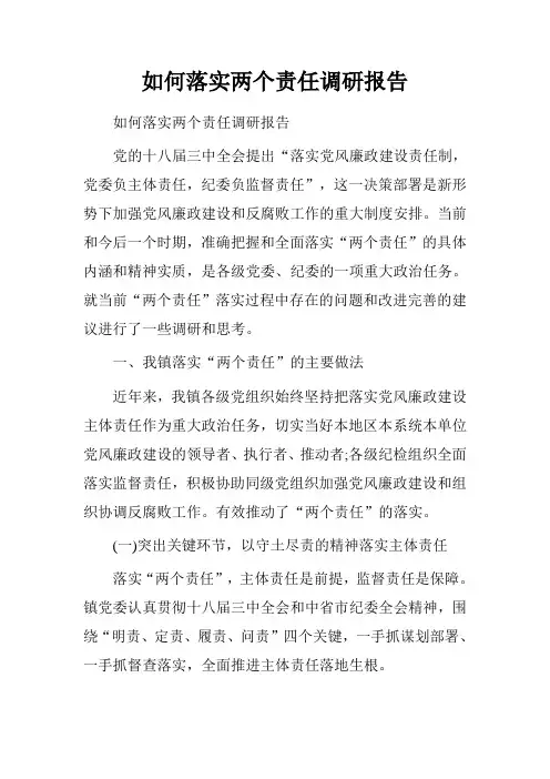 如何落实两个责任调研报告