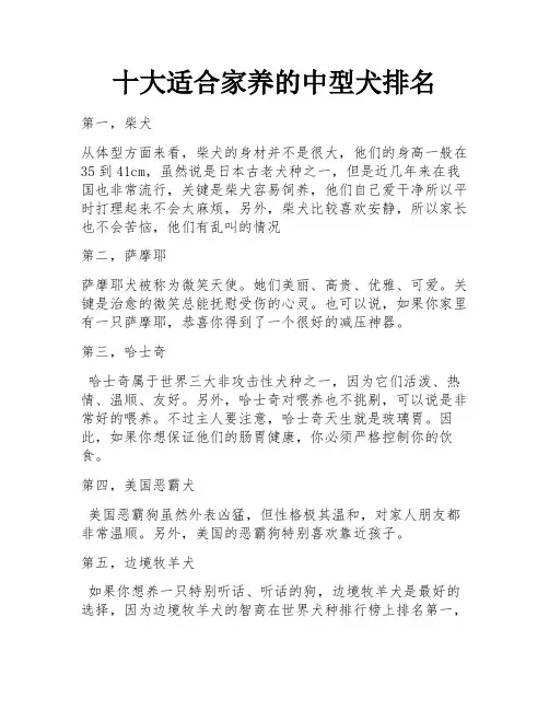 十大适合家养的中型犬排名