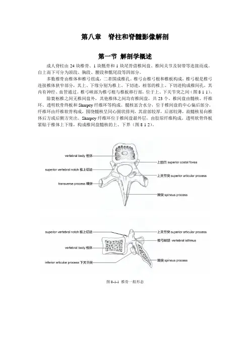 (完整版)脊柱和脊髓影像解剖