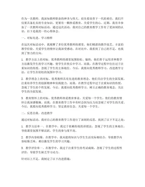 教师对标心得感言体会