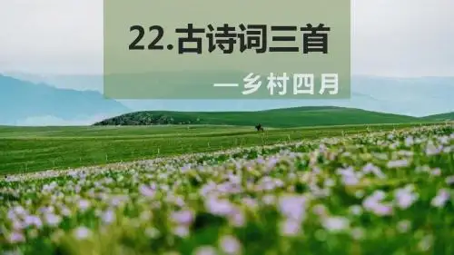 人教版四下_22.古诗词三首 乡村四月【优质课件】.pptx.pptx