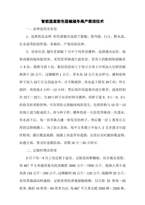 智能温室彩色甜椒越冬高产栽培技术