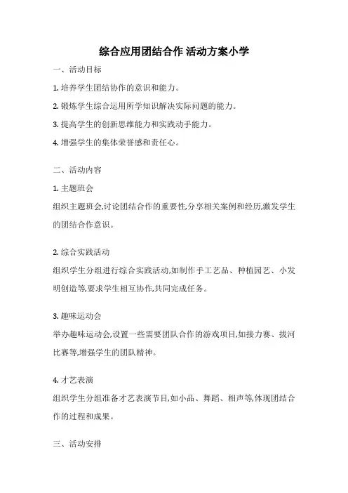 综合应用团结合作 活动方案小学