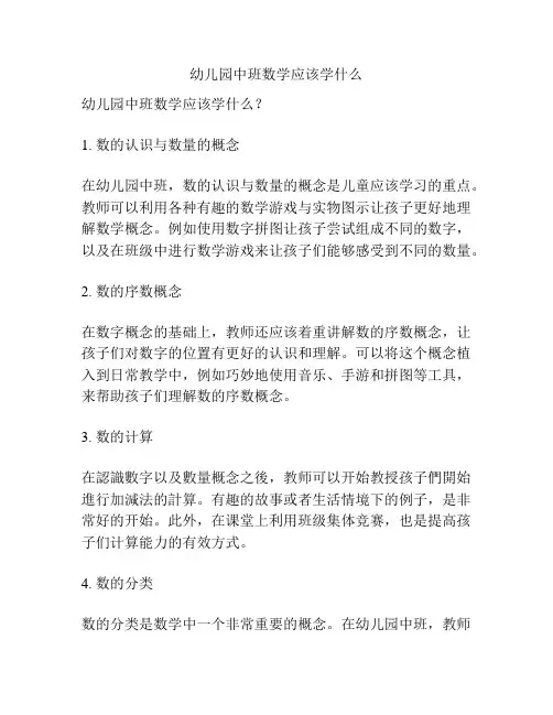 幼儿园中班数学应该学什么的参考方案