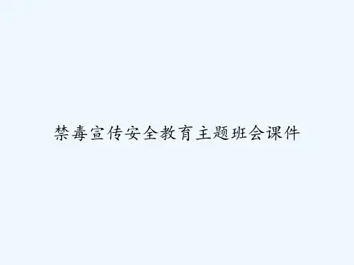 禁毒宣传安全教育主题班会课件-PPT