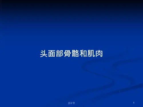 头面部骨骼和肌肉PPT学习教案课件
