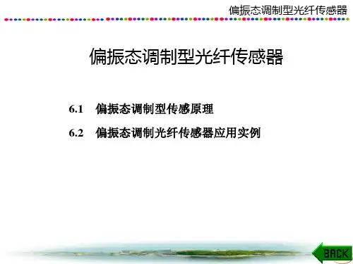 光纤传感技术课件：偏振态调制型光纤传感器