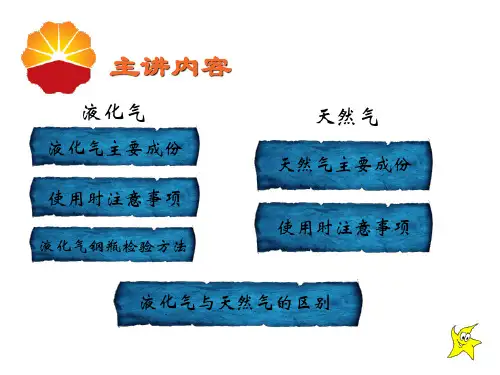 液化气安全使用常识PPT课件模版